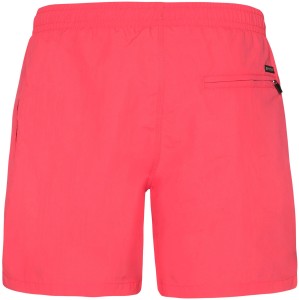 morepic-2